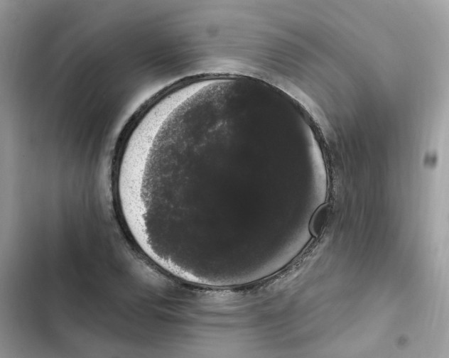 X0000101981120200808151355