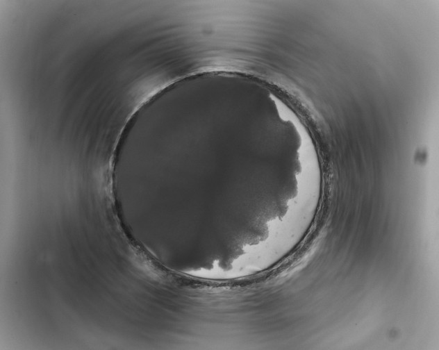 X0000101981121200808151355