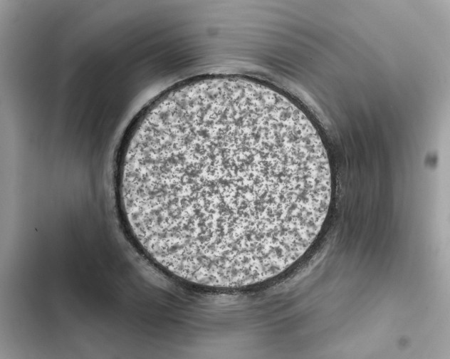 X0000101981122200808151355