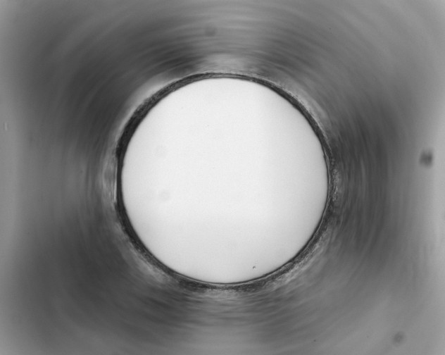 X0000101981123200808151355