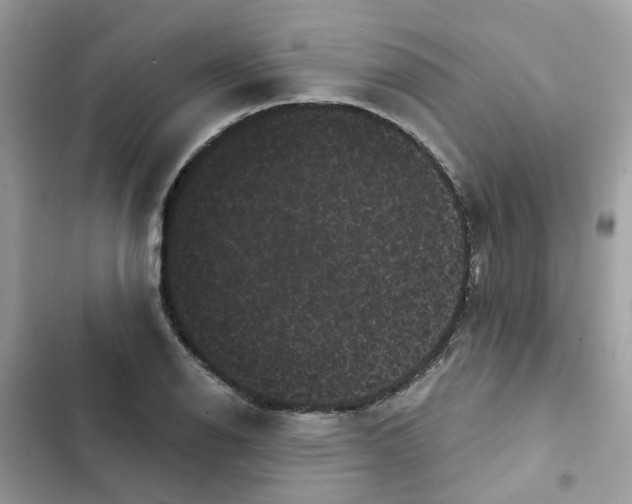 X0000101981126200808151355