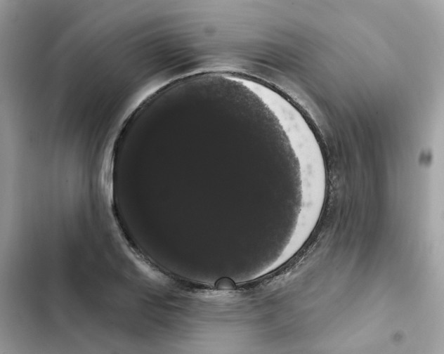 X0000101981127200808151355