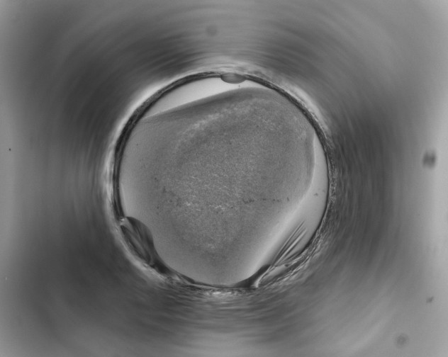 X0000101981128200808151355