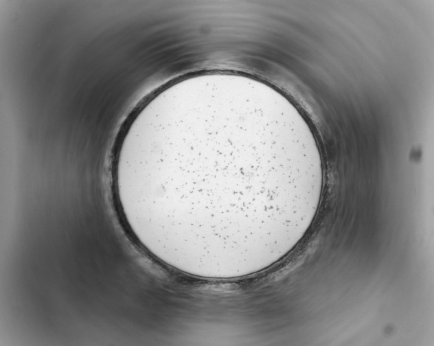 X0000101981133200808151355