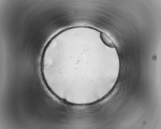 X0000101981134200808151355