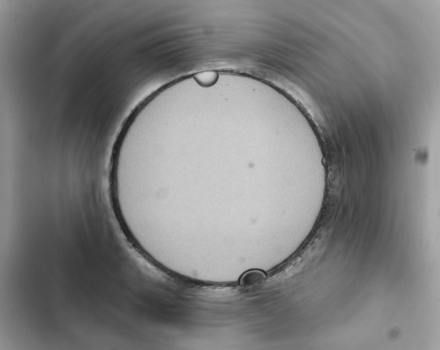 X0000101981135200808151355