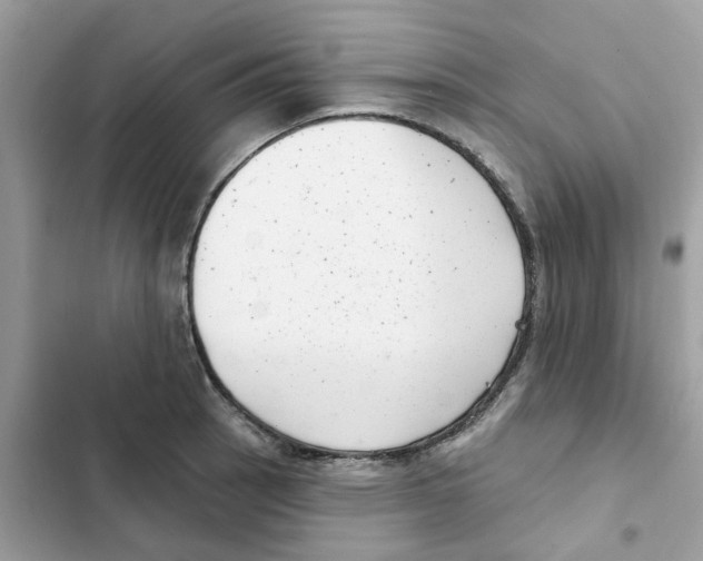 X0000101981137200808151355