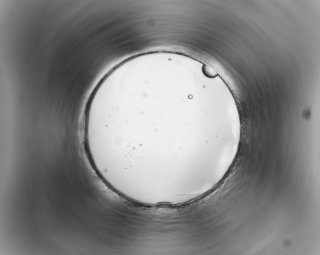 X0000101981140200808151355