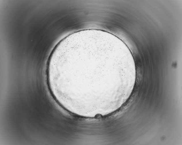 X0000101981142200808151355