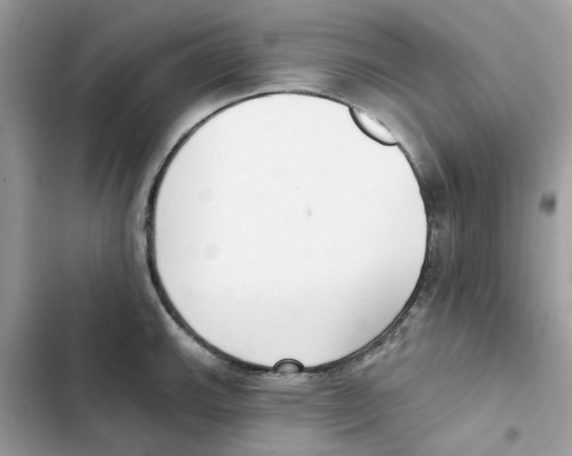 X0000101981143200808151355