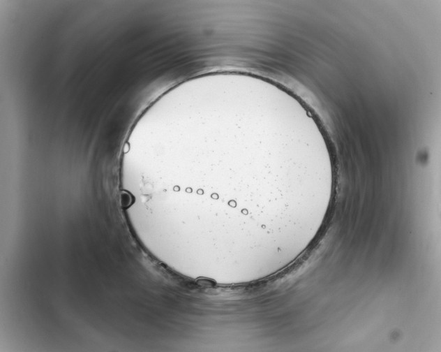 X0000101981145200808151355