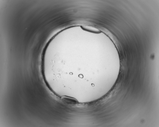 X0000101981147200808151355