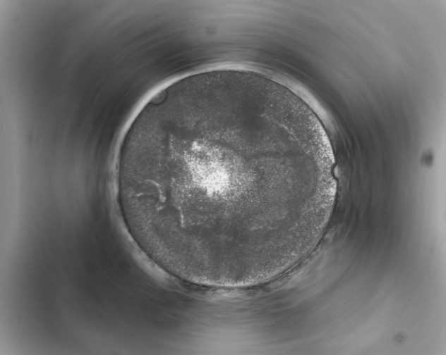 X0000101981148200808151355