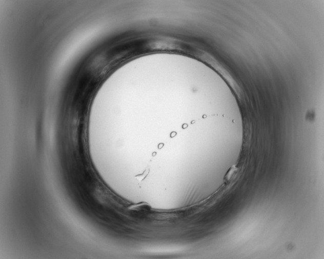 X0000101981151200808151355