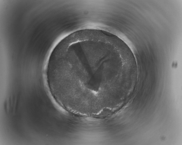 X0000101981152200808151355