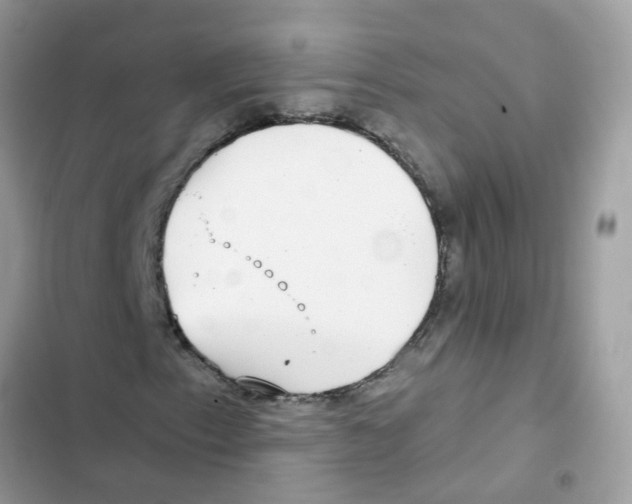 X0000101981153200808151355