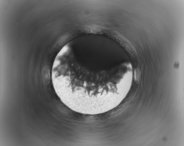 X0000101981155200808151355