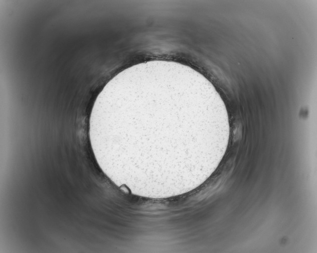 X0000101981156200808151355