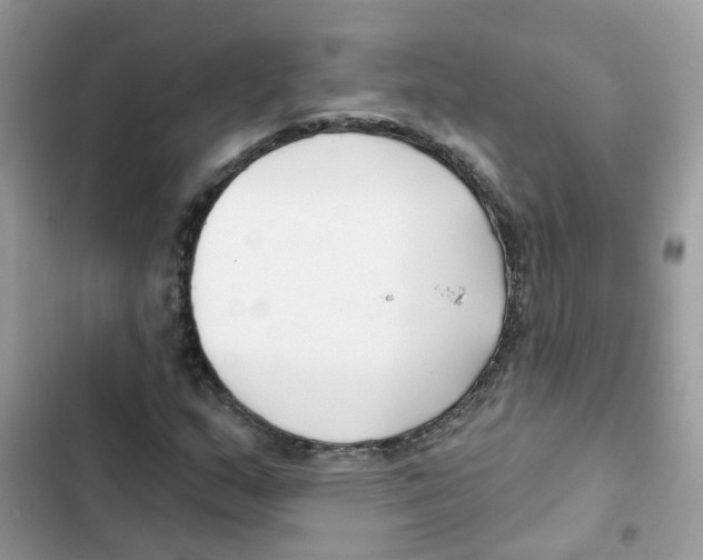 X0000101981159200808151355