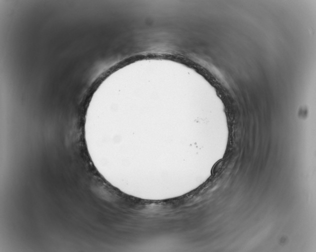 X0000101981160200808151355