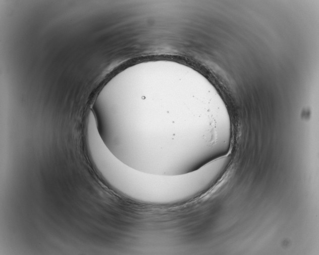 X0000101981161200808151354