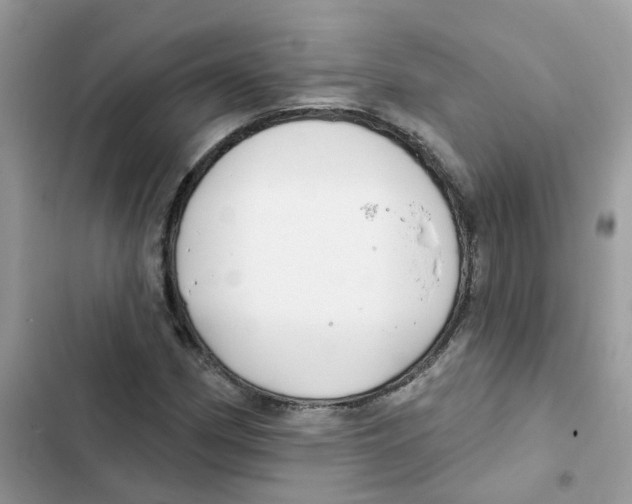 X0000101981162200808151354