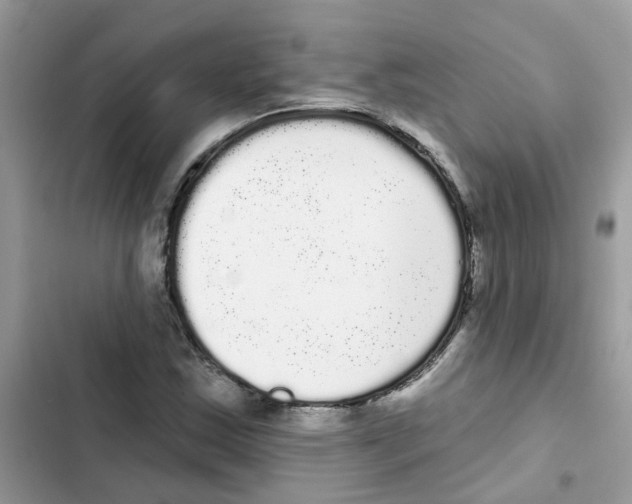 X0000101981163200808151354