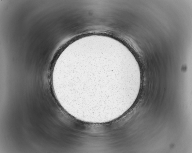 X0000101981164200808151354