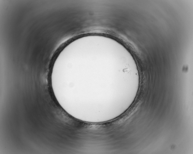 X0000101981166200808151354