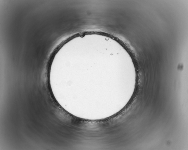 X0000101981167200808151354