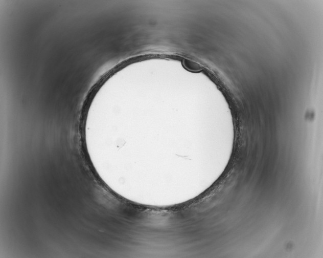 X0000101981168200808151354