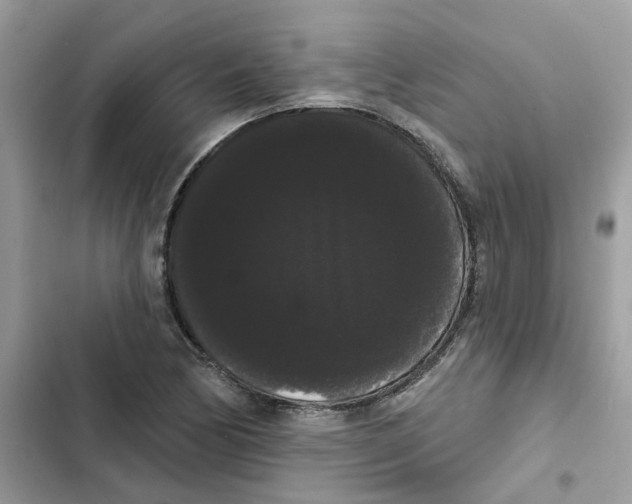 X0000101981170200808151354