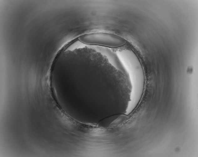 X0000101981173200808151354