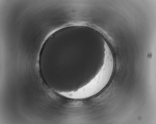 X0000101981174200808151354