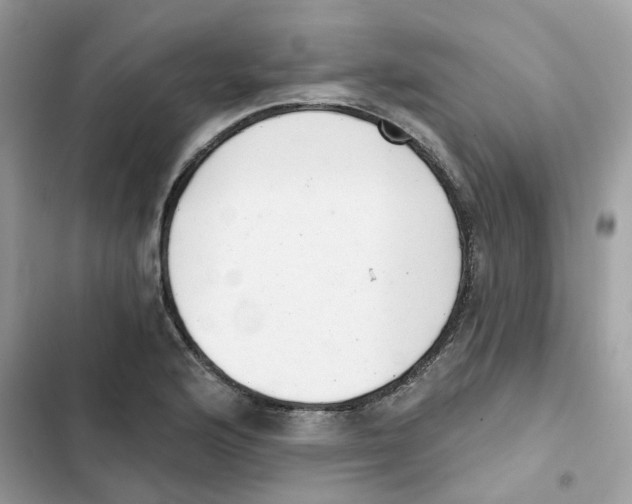 X0000101981176200808151354