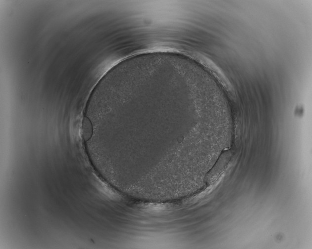 X0000101981177200808151354