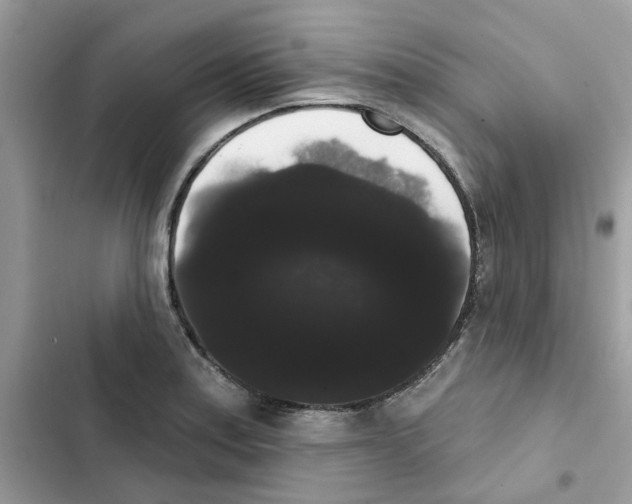 X0000101981179200808151354