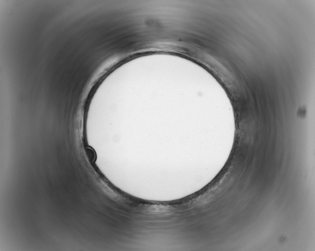 X0000101981180200808151354