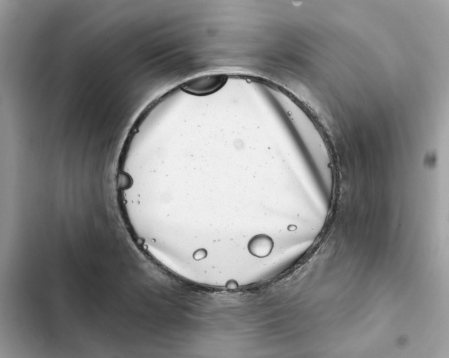 X0000101981181200808151354