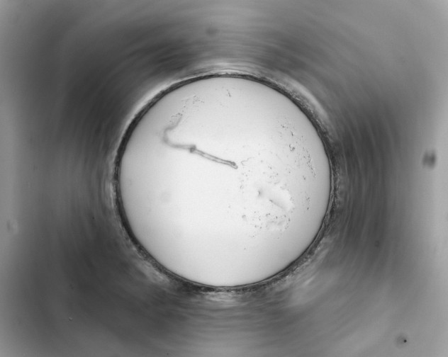 X0000101981182200808151354