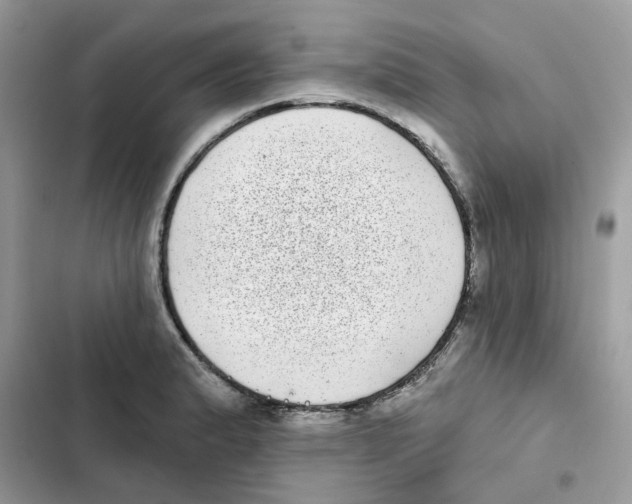 X0000101981183200808151354