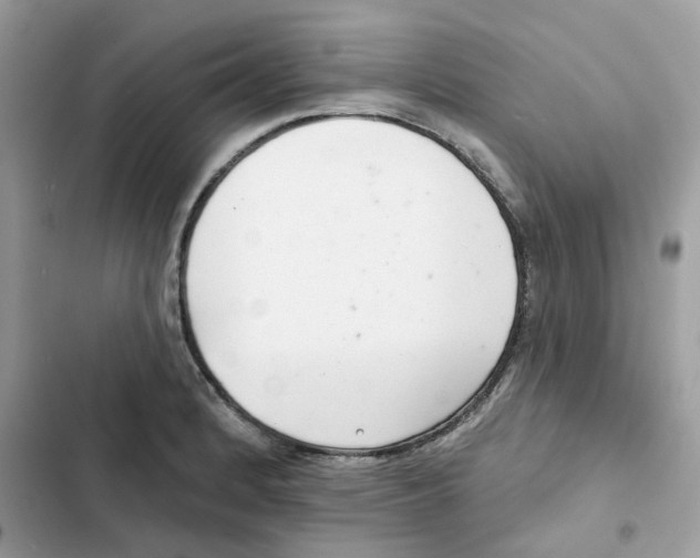 X0000101981184200808151354