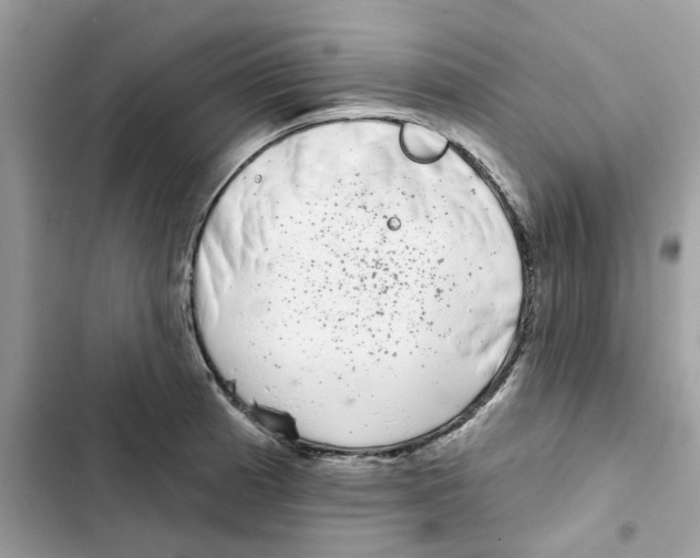 X0000101981185200808151354