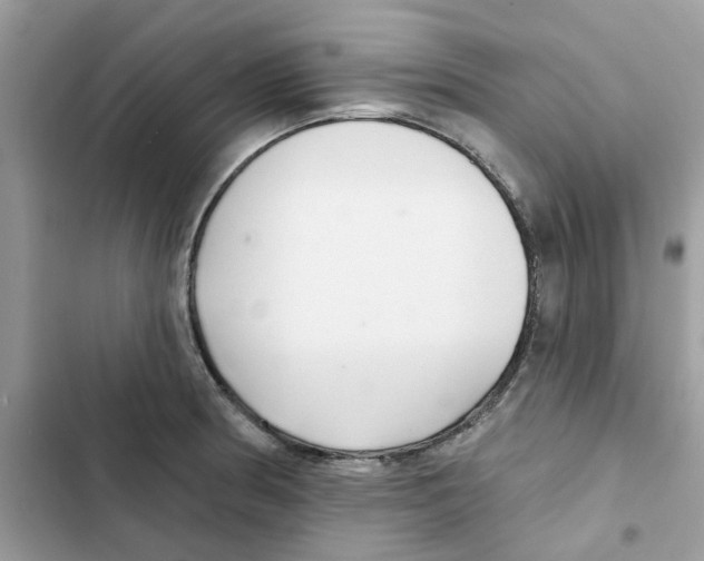 X0000101981186200808151354