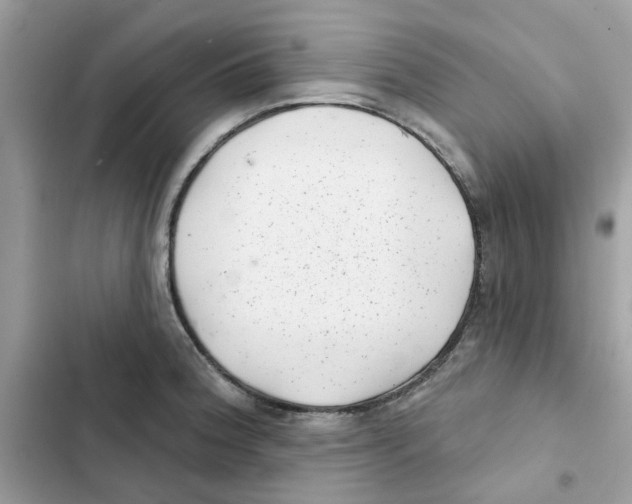 X0000101981188200808151354