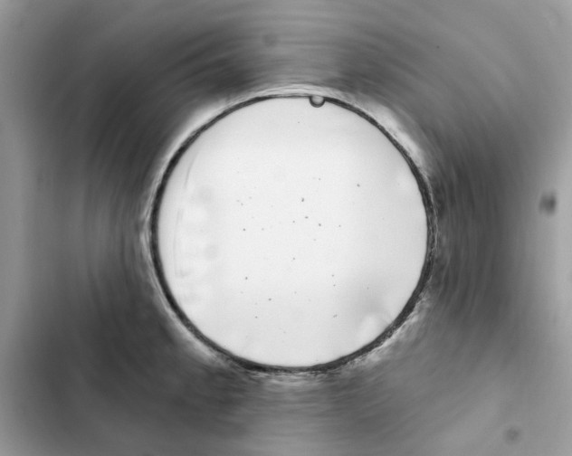 X0000101981189200808151354