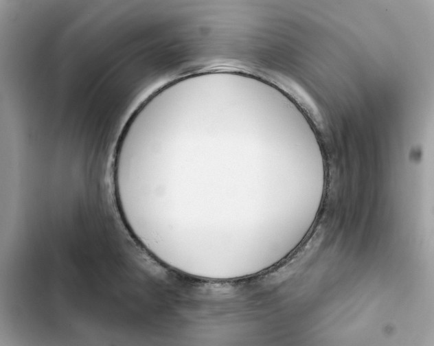 X0000101981190200808151354