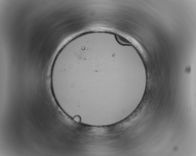 X0000101981191200808151354