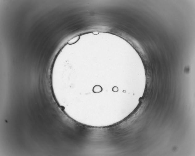 X0000101981192200808151354