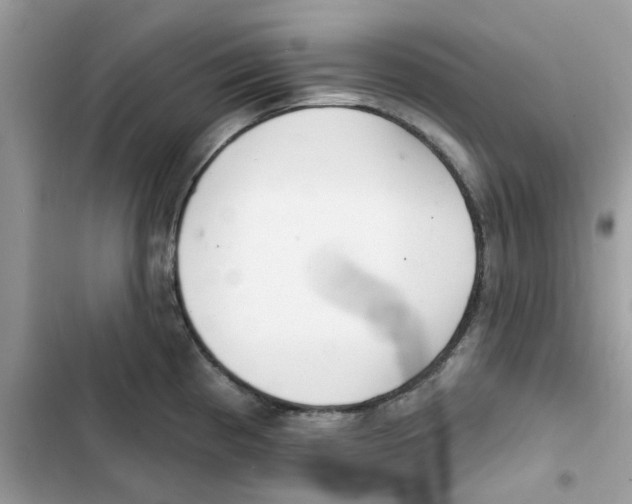 X0000101981193200808151354